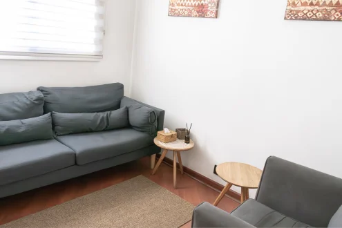 arriendo de box y salas para psicólogos y terapeutas en providencia